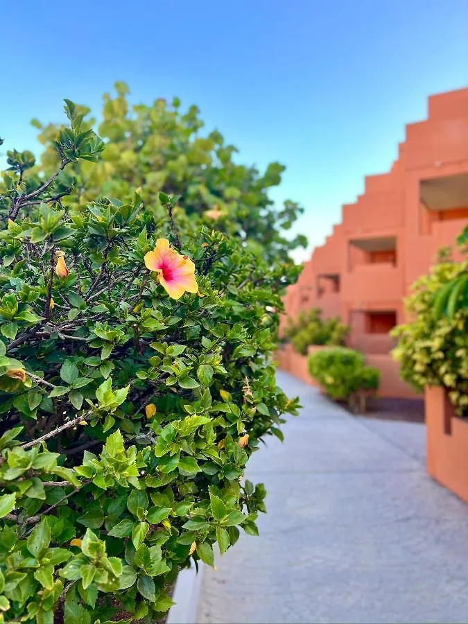Sunny Home La Tejita Granadilla De Abona Spain